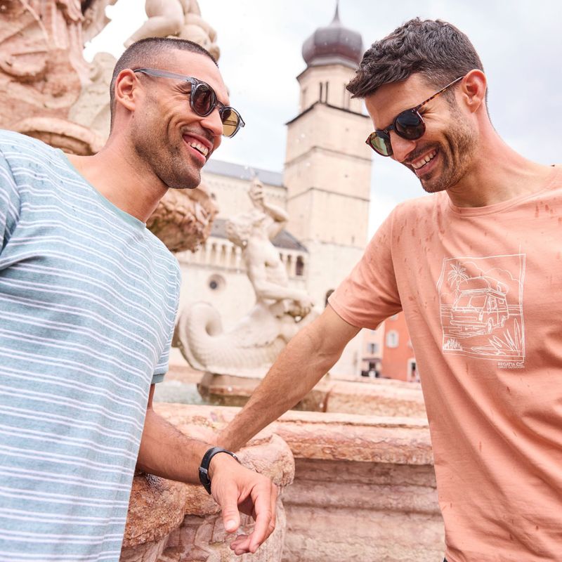 Koszulka męska Regatta ClineIX italian clay 9