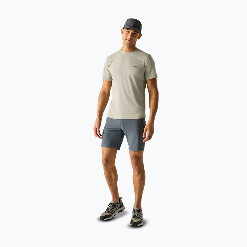 Koszulka trekkingowa męska REGATTA Mindoi Anti Insect abbeystone 2