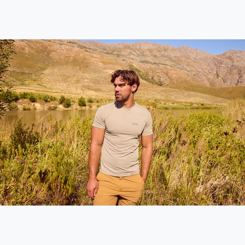 Koszulka trekkingowa męska REGATTA Mindoi Anti Insect abbeystone 5