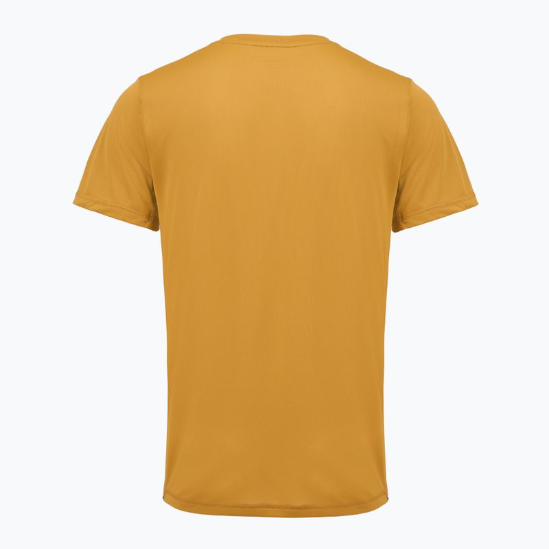 Koszulka trekkingowa  męska REGATTA Mindoi Anti Insect wood brown 2