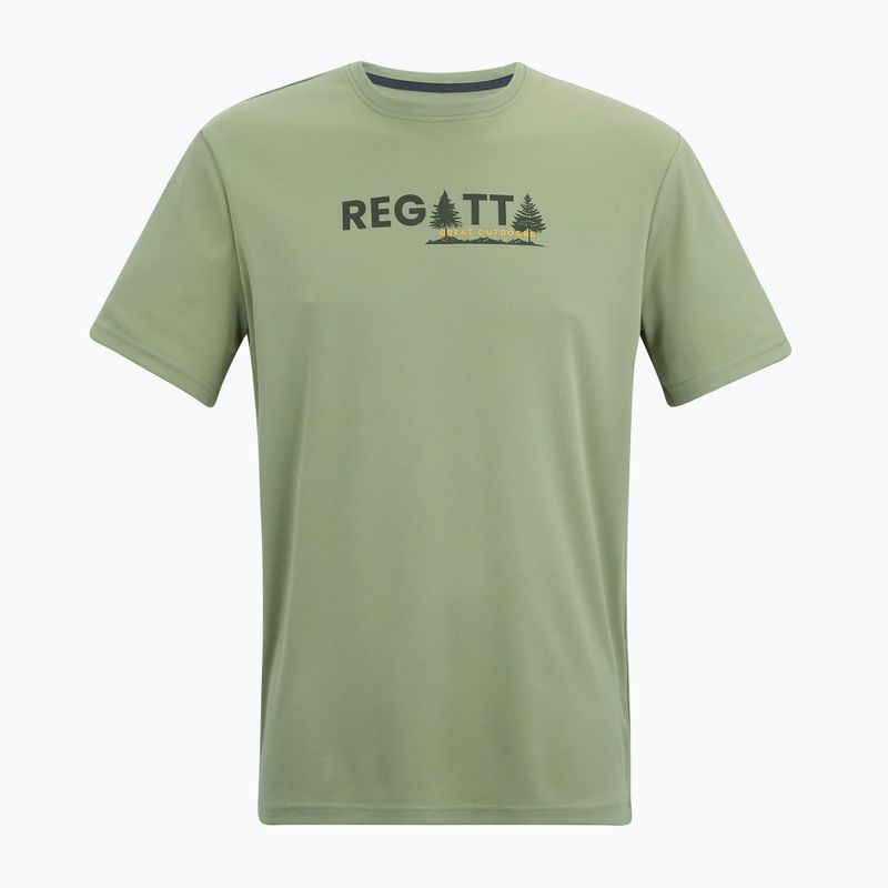 Koszulka trekkingowa męska REGATTA Fingal light sage 5