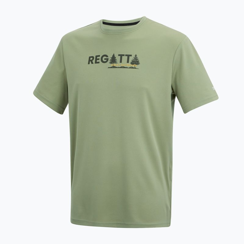 Koszulka trekkingowa męska REGATTA Fingal light sage 7