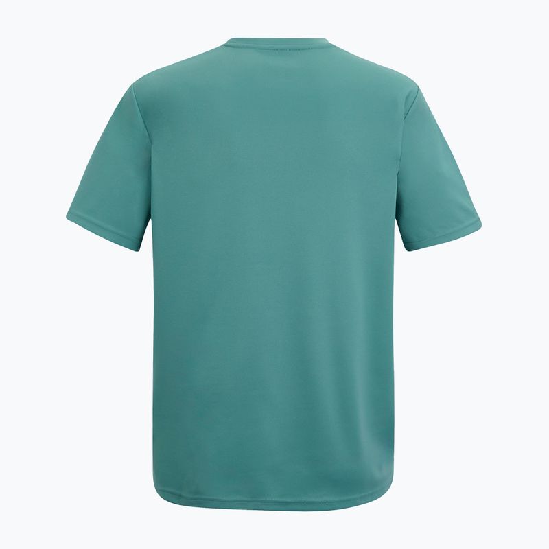 Koszulka trekkingowa męska REGATTA Fingal arctic 6