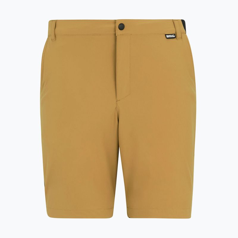 Spodenki trekkingowe męskie REGATTA Anti Insect Travel Light wood brown 5