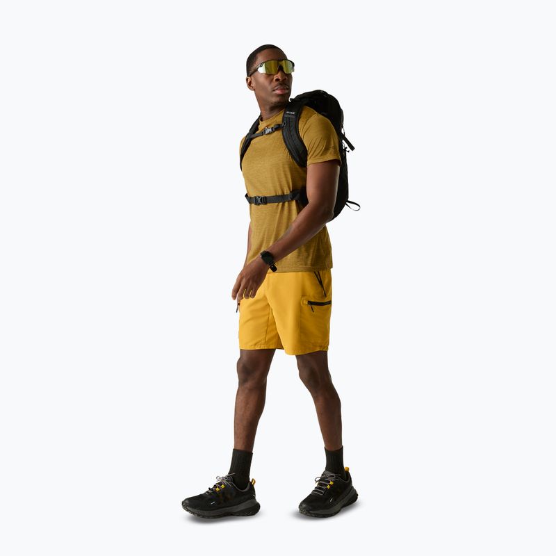 Koszulka trekkingowa męska REGATTA Fingal Edition wood brown 2