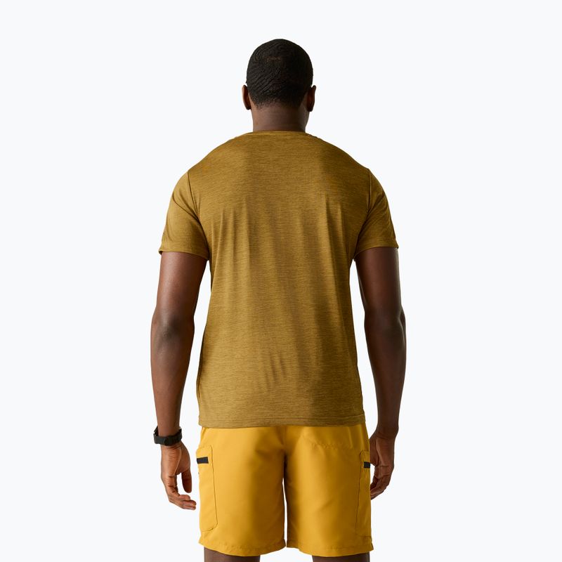 Koszulka trekkingowa męska REGATTA Fingal Edition wood brown 3