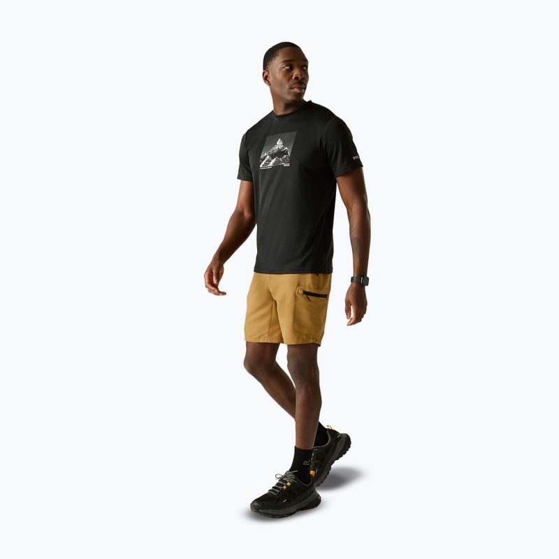 Spodenki trekkingowe męskie REGATTA Leesville III wood brown 2