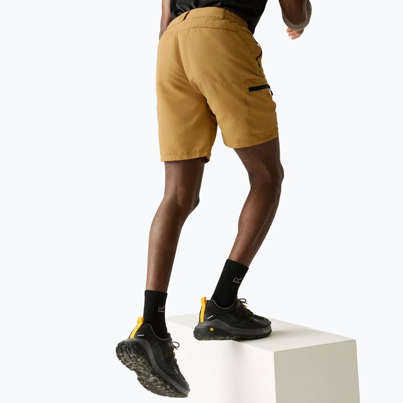 Spodenki trekkingowe męskie REGATTA Leesville III wood brown 4