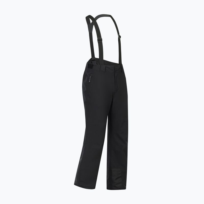 Spodnie narciarskie męskie Dare 2b Achieve III Pant black 10