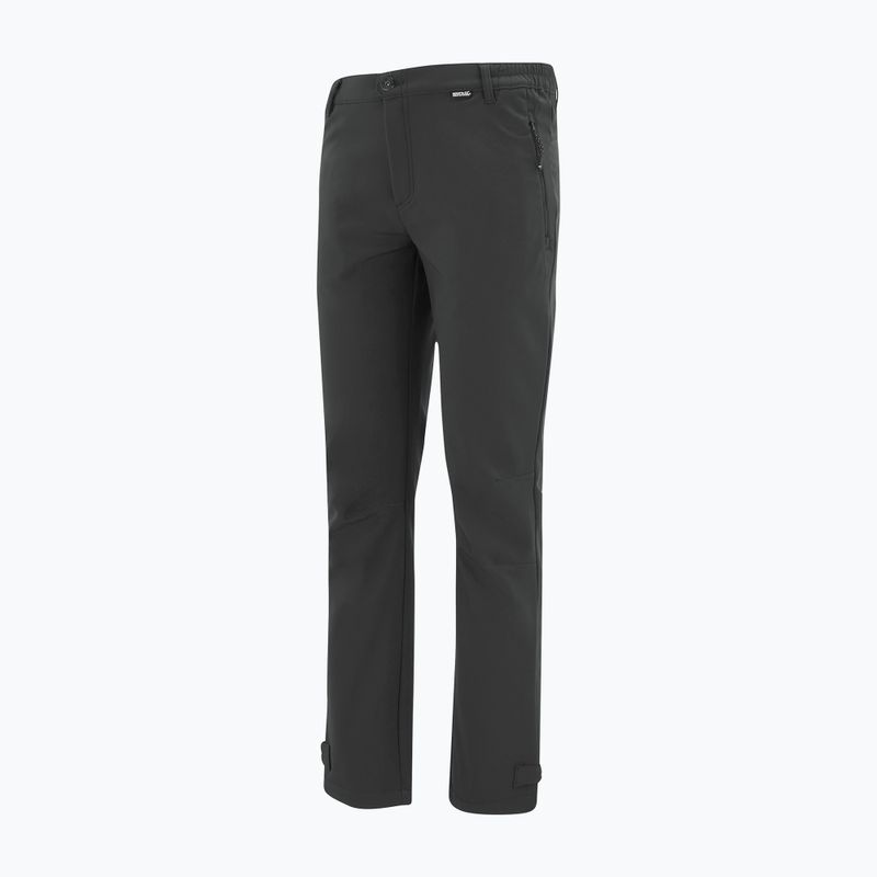 Spodnie softshell męskie REGATTA Geo Softshell ash 9