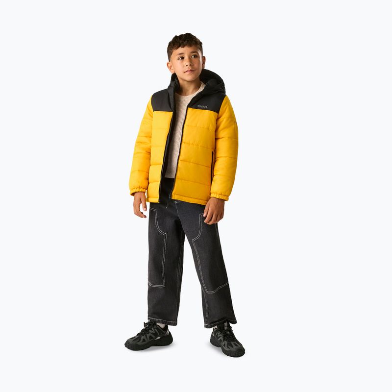 Kurtka ocieplana dziecięca REGATTA Lofthouse black/mustard 2