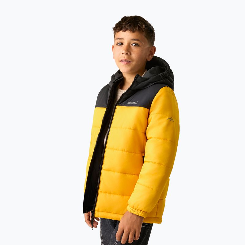 Kurtka ocieplana dziecięca REGATTA Lofthouse black/mustard 5