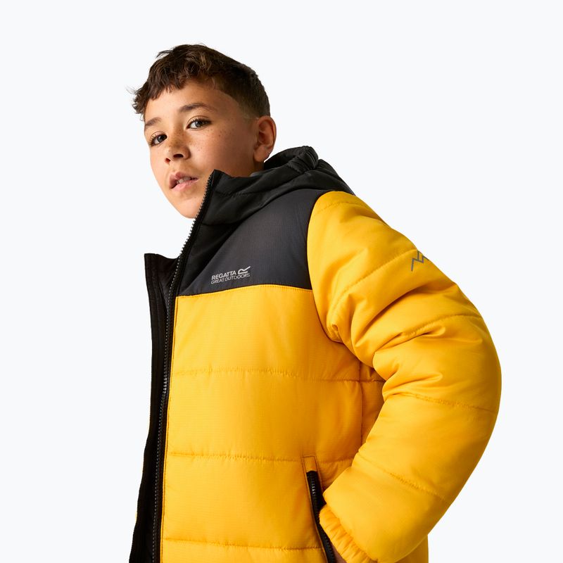 Kurtka ocieplana dziecięca REGATTA Lofthouse black/mustard 6
