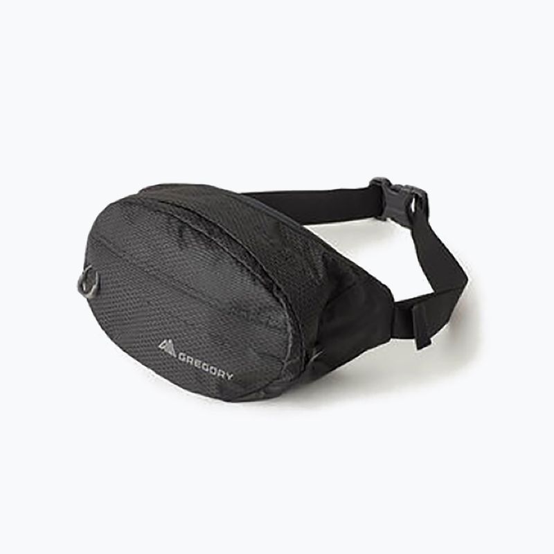 Saszetka nerka Gregory Nano Waistpack obsidian black 9