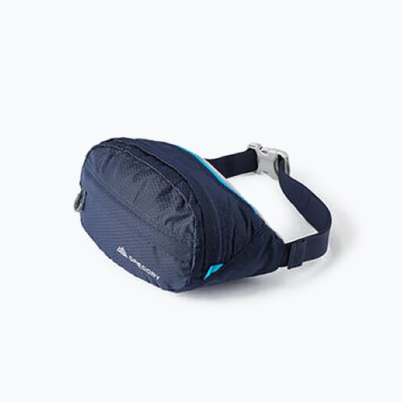 Saszetka nerka Gregory Nano Waistpack bright navy 9