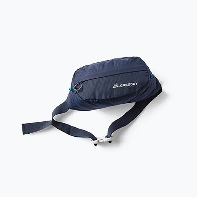 Saszetka nerka Gregory Nano Waistpack bright navy 11