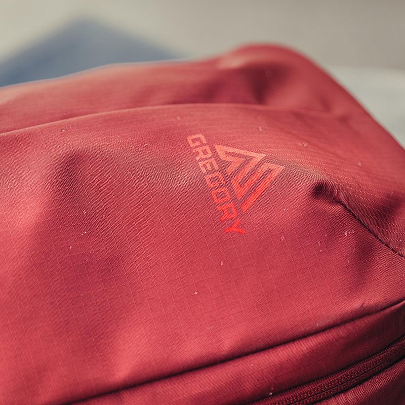 Plecak miejski Gregory Rhune 22 l brick red 10