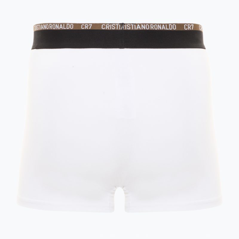 Bokserki męskie CR7 Basic Trunk 10 par multicolur 5