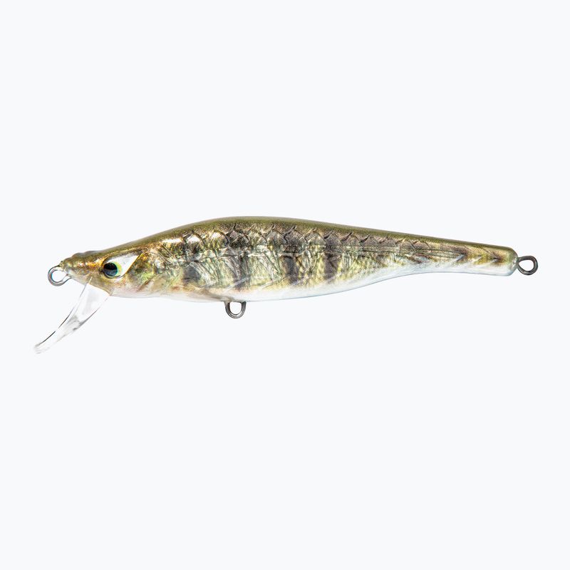 Wobler FishTank Delta striped green