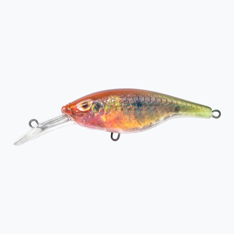 Wobler FishTank Charlie parrot