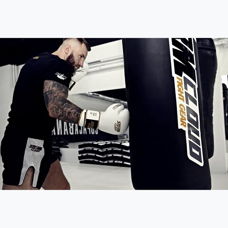 Rękawice bokserskie StormCloud Boxing Pro white/gold 11