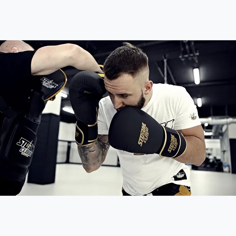 Rękawice bokserskie StormCloud Boxing Pro black/gold 13