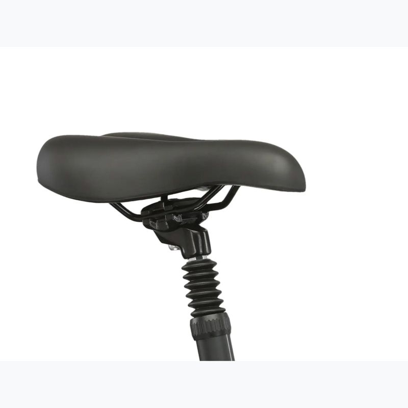 Rower elektryczny KROSS Sentio Hybrid 2.0 el. 504 Wh srebrny/czarny/połysk 12