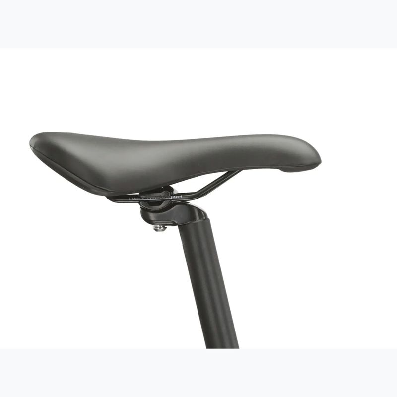 Rower górski KROSS Hexagon 4.0 EQ 29" srebrny/zielony/połysk 13