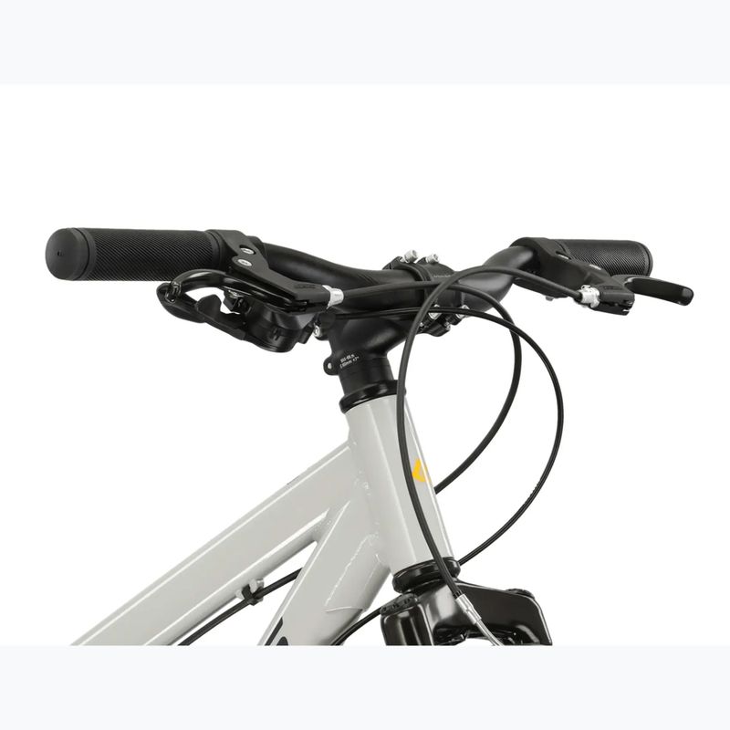 Rower dziecięcy KROSS Dust Jr 1.0 szary/czarny/połysk 4