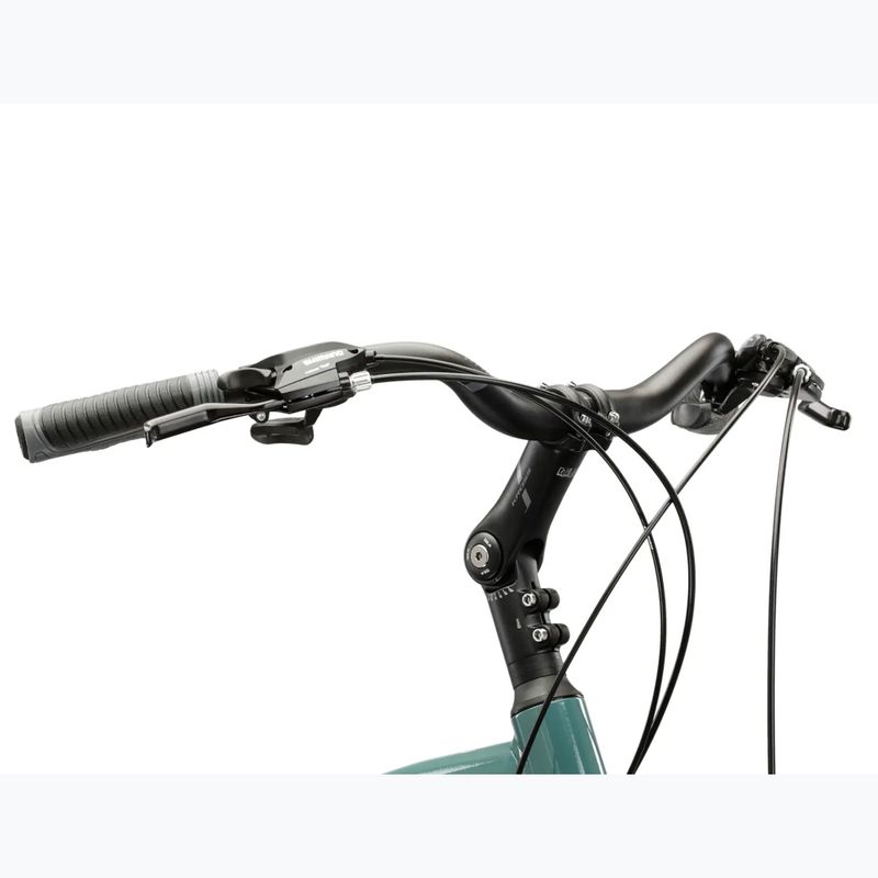 Rower trekkingowy męski KROSS Trans 3.0 zielony/srebrny/połysk 4