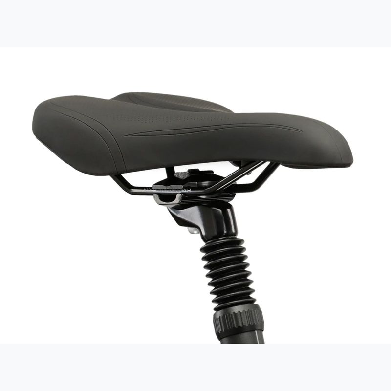 Rower trekkingowy męski KROSS Trans 3.0 zielony/srebrny/połysk 12