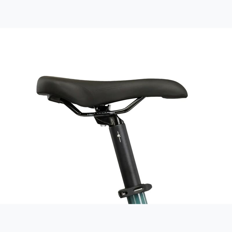 Rower trekkingowy męski KROSS Trans 3.0 zielony/srebrny/połysk 13
