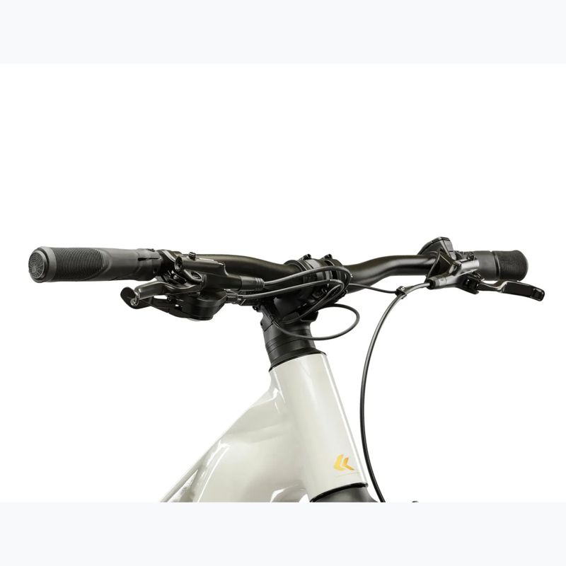 Rower elektryczny damski KROSS Influx Hyb 1.0 720Wh szary/złoty/połysk 4