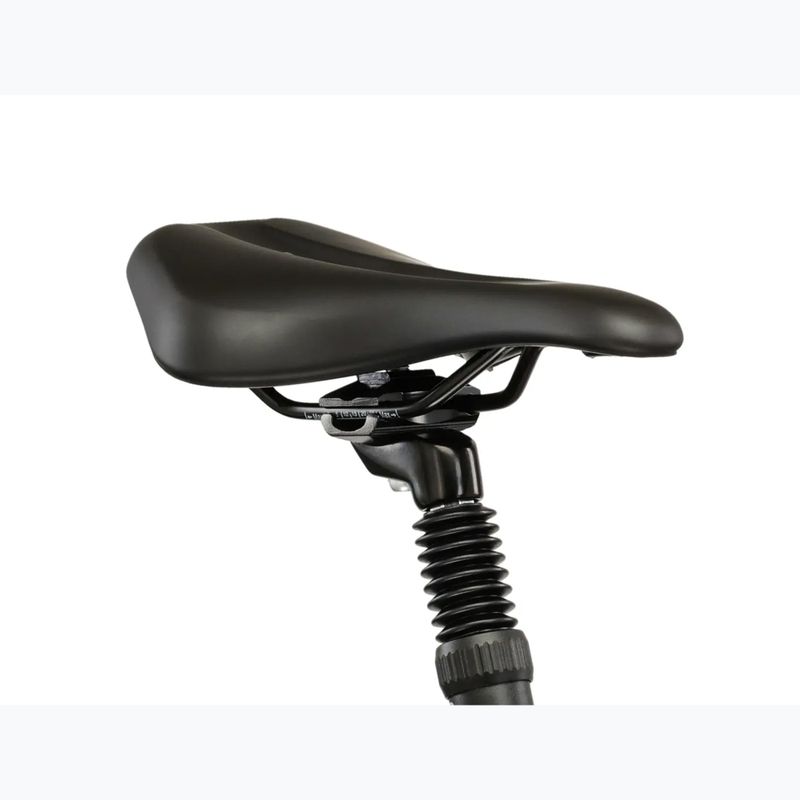 Rower crossowy damski KROSS Evado 3.0 W szary/zielony/połysk 11