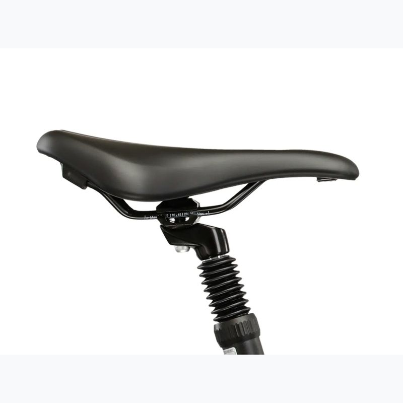 Rower crossowy damski KROSS Evado 3.0 W szary/zielony/połysk 12