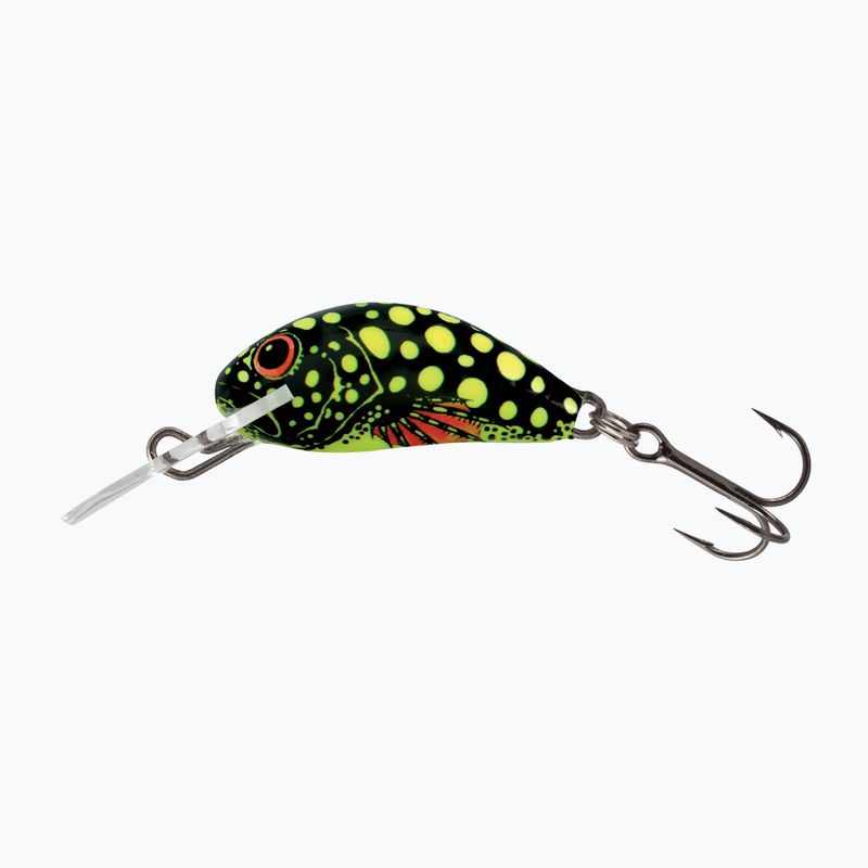 Wobler Salmo Hornet FLO beetle