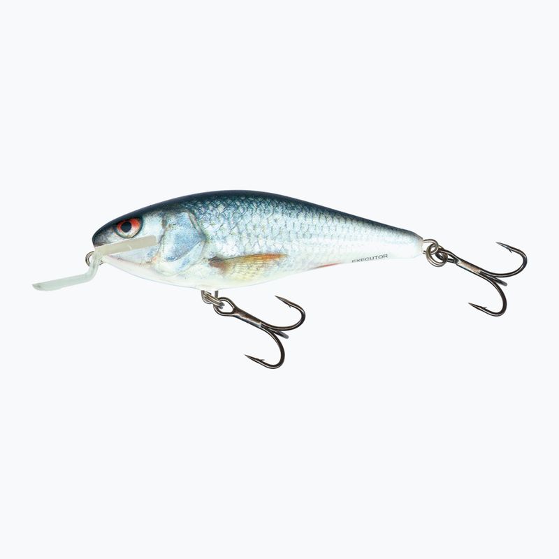 Wobler Salmo Executor SHR real dace