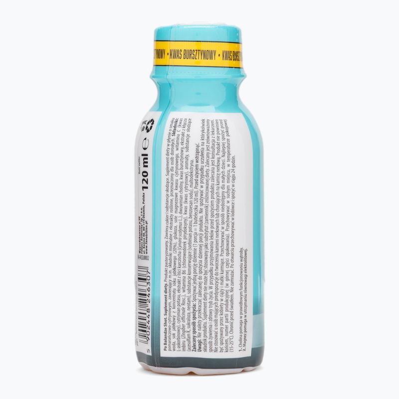 Suplement Fitness Authority FA Po Balandze 120 ml orange/citrus 3