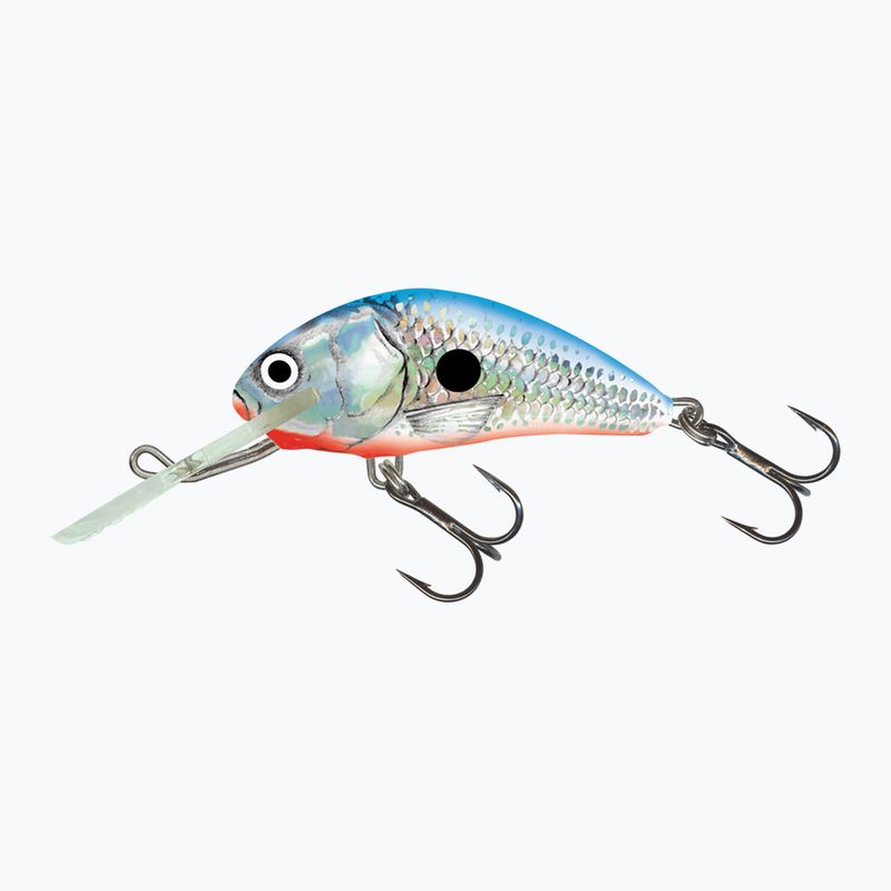 Wobler Salmo Hornet FLO silver blue shad