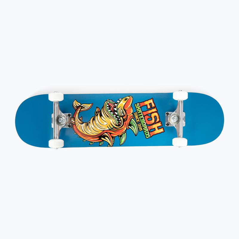 Deskorolka klasyczna Fish Skateboards Zack Beginner 8.0' 4