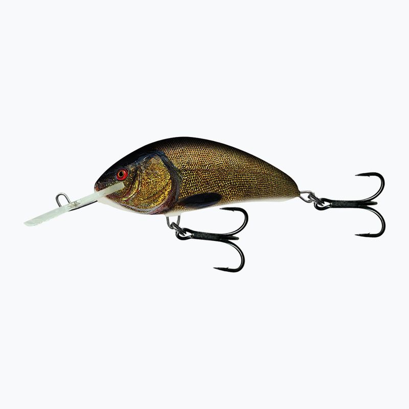Wobler Salmo Hornet FLO supernatural tench