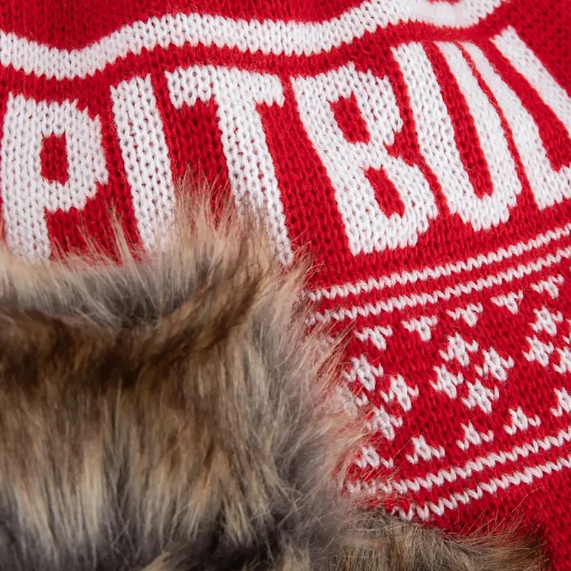 Czapka zimowa Pitbull Beanie Mission Bay red 3