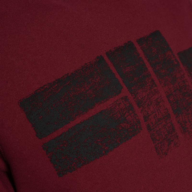 Bluza męska Pitbull Crewneck Classic Logo burgundy 8