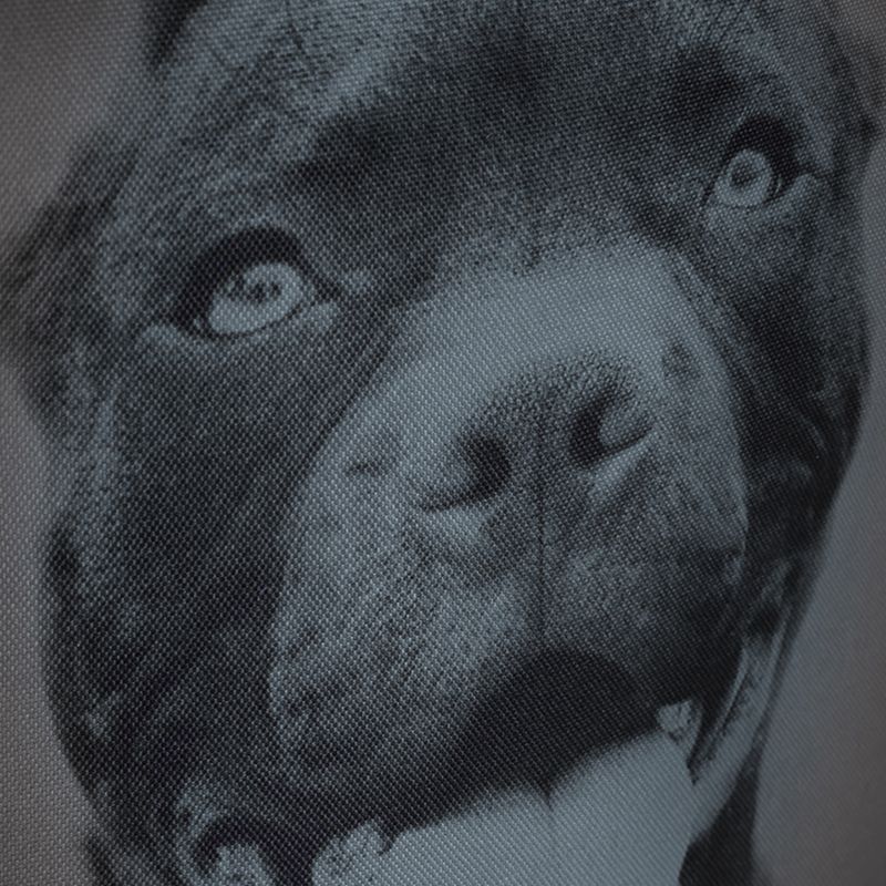 Plecak męski Pitbull Pitbull Ir 28 l black/grey 12