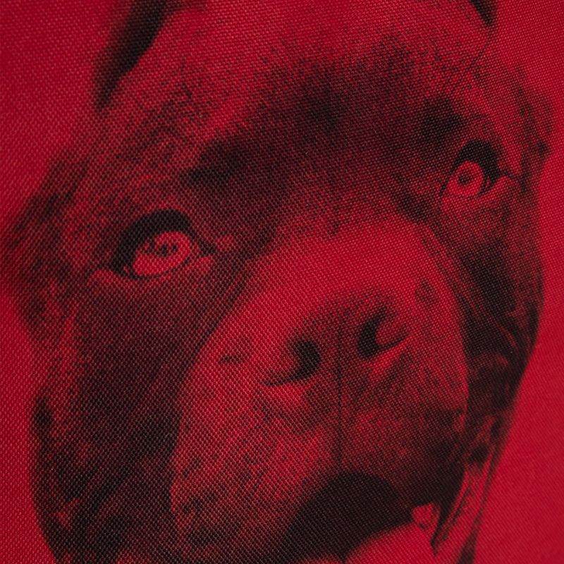 Plecak męski Pitbull Pitbull Ir 28 l black/red 13