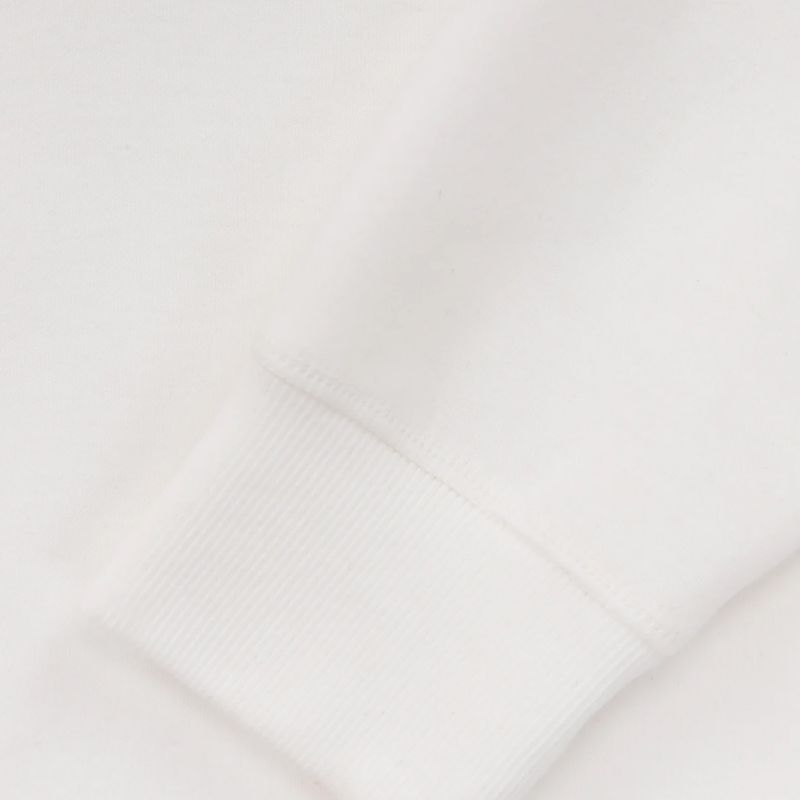 Bluza męska Pitbull Hermes Hooded Zip off white 9