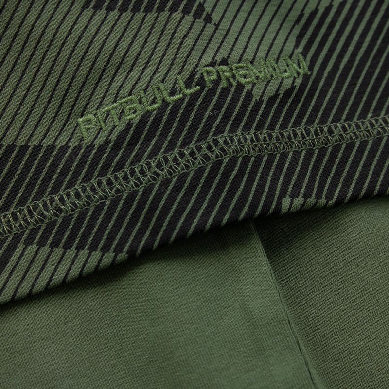 Koszulka męska Pitbull T-S Hilltop 210 olive 5