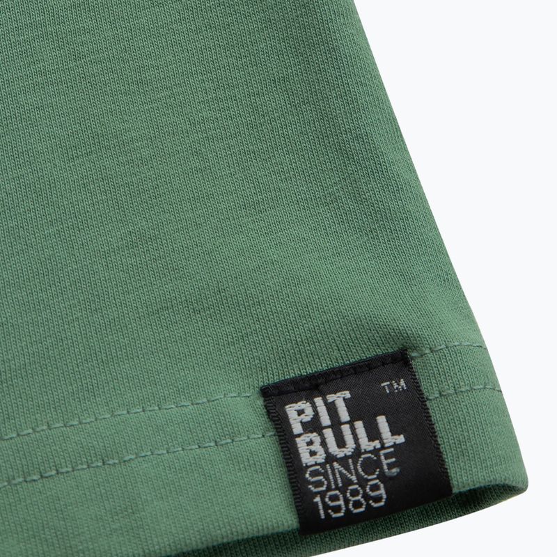 Koszulka męska Pitbull Hilltop mint 7