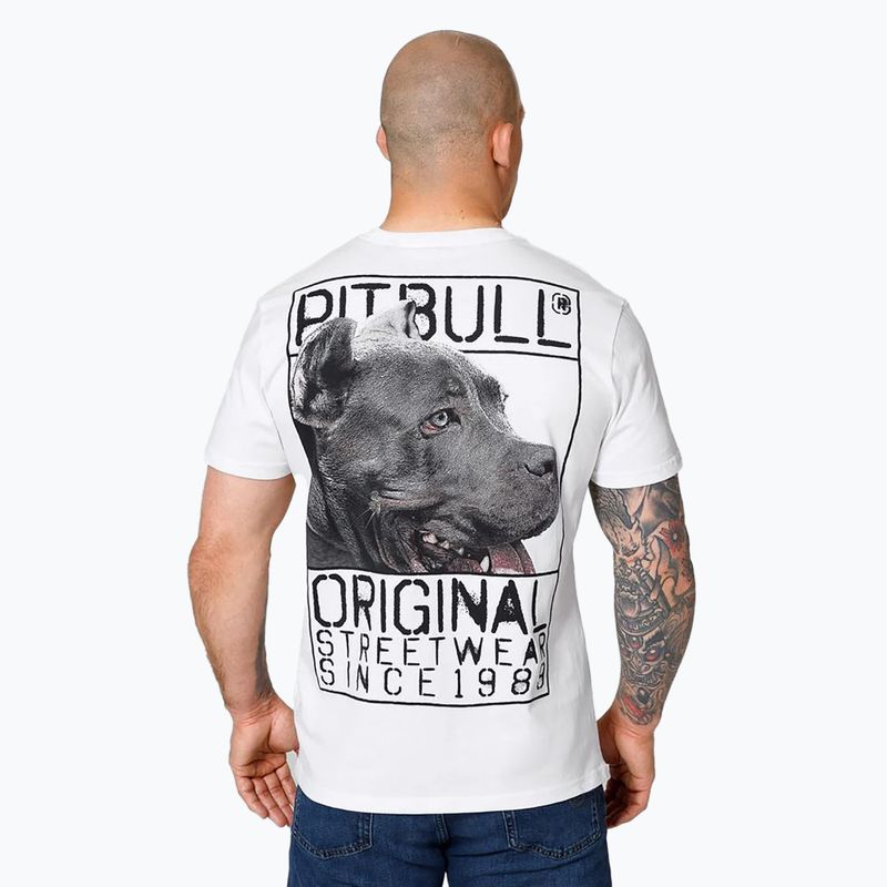 Koszulka męska Pitbull Origin white 3