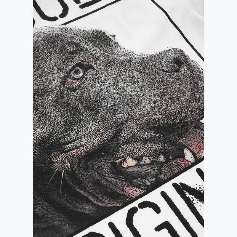 Koszulka męska Pitbull Origin white 7